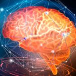 Representación del cerebro humano con conexiones neuronales iluminadas, destacando la complejidad del lenguaje.